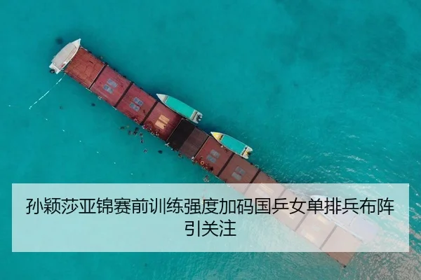 孙颖莎亚锦赛前训练强度加码国乒女单排兵布阵引关注